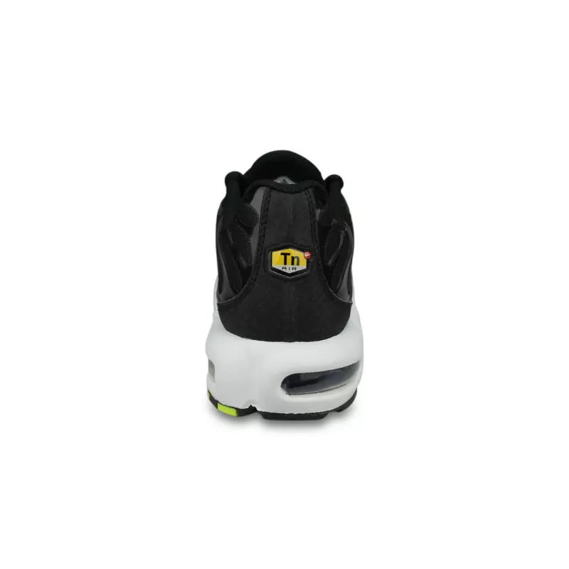 Nike Air Max Plus TN Noir DJ6876-001
